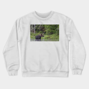 Lunch in Algonquin Park - Canadian Moose Crewneck Sweatshirt